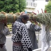 茅と菖蒲と柏餅｜神奈川県・蛇も蚊も