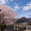 桜行脚第5弾ラストを飾る河口湖　～大石公園へ～