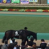 東京競馬11R 錦秋ステークス パドック直前予想 ◎6 ミヤジマッキー