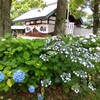 一宮市御裳神社あじさい苑2年ぶり3度目の訪問とJA愛知西産直広場尾西店