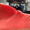 ヤケの釣り　か　小マグロの定置か・・・（＞＜）