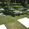 Picnic Sheet Exhibition