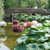 草津市立水生植物公園みずの森