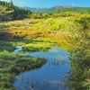 舟原溜池（神奈川県小田原）