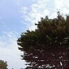 IT系のネタは他所で書く事にしました