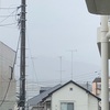 雪が積もらず助かりました