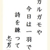 カルガモや今日は一羽で詩を練って？ 