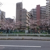 派遣社員にもテレワーク