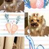 I LOVEチェルシー