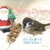 皆さんにクリスマスカードを(#^v^#)