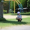 久しぶりの青空　２年西組生き物探し