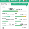 【マイナス15キロ】100日ダイエット32日🌱心機一転して頑張る
