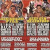 IWRG 11/19 水曜日 アレナ・ナウカルパン