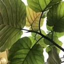 数学苦手な人が、算数をやり直すブログ。
