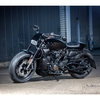 パーツ：Rick's Motorcycles「Sportster S 2021 Headlight Fairing」