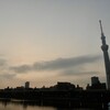 早朝散歩