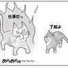 猫の家宅捜索