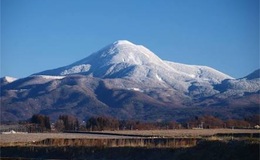 記事を見る