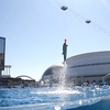 名古屋港水族館に、犬山城に、運動会！