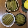 健康な体を作るには　曇り