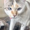 うみちゃんねるを紹介するにゃ 21