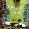 ＃第20回日比谷公園ガーデニングショー2022　紫の胡蝶蘭