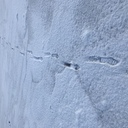 アイ☃️スクリーム〜140字には収まらない諸々〜