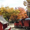 「桜を見る会」と欅の紅葉を訪ねて