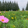 孫2号と朝一番であけぼの山公園へ