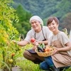 そもそもオーガニックとは？《オーガニック野菜アドバイザー資格の口コミ》