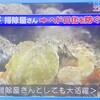 鉄腕DASHに撮影した動画を提供しました