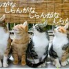 なにデレデレしてるの！！