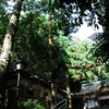 大神神社写真館(４/５)