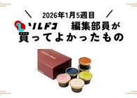 素材にこだわったハンデルスベーゲンの無添加アイスがすごい｜2026年1月（5週目）の編集部が買ってよかったもの