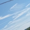 秋の庭の収穫物