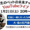 本日20時からYouTubeライブ配信します♬