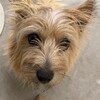 きなこ、今日は盛り上がる