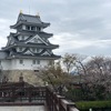 ３月２８日　岐阜　一夜城　桜のお花見