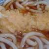 いか天ぷら　うどん