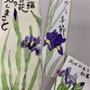 花菖蒲