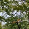 【秋の楽しみといえば？】