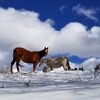 順調に雪が降りそうだが、順調にいかないこともある。