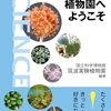 暖かくなったらぜひ！「植物園へようこそ」