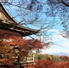 秋の嵯峨嵐山　おすすめ紅葉スポット　⑤大悲閣　千光寺