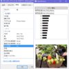 画像の使用色数を表示するアプリ作ってみた