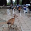 奈良町と東大寺ぶらぶら