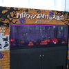 2023/10/10　テーマ水槽「ハロウィンおばけの大集合」