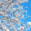 春なのに出会いがない
