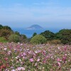 きれいな秋空の中、能古島アイランドパークに行ってみた♪