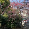 2023年度総合職　定期採用エントリー受付中です！＜エントリーは締め切りました＞